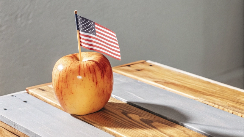 Single vibrant red apple on rustic wooden table representing traditional American symbolism